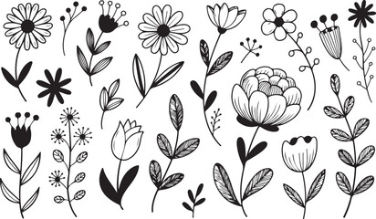 Botanical Hand Drawn Floral Vector Elements for Decoration and Illustration Projects