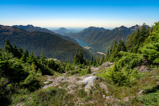 Looking down from the top of a mountain at the sounds of western Vancouver Island, Canada