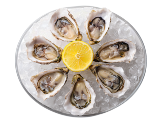 Overhead oyster plate with six oysters on ice and lemon wedge garnish, isolated on transparent background.
