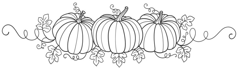 Pumpkin thanksgiving, autumn, halloween, element vector illustration