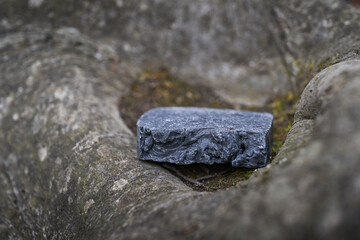 Handmade artisan black soap bars displayed on a tree brunch. Natural, organic, and eco-friendly skincare,  vegan and plant-based, designed for sustainable self-care, holistic wellness, 