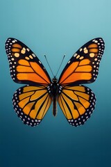 Fototapeta premium Monarch butterfly with vibrant orange wings against a blue background.