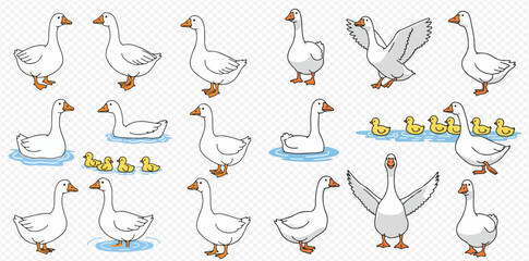 A collection of cute cartoon geese and goslings in various poses, including standing, swimming, and spreading wings, on a transparent background. © ArtLuna Studio