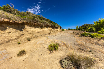 Sand dunes, shifting sands, and wild Mediterranean vegetation on Stracic Beach on the island of Rab,