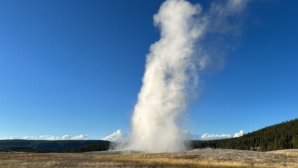 Old Faithful in Yellowstone National Park