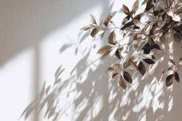 shadow overlay effects of realistic tree branch and foliage leaves shadow isolated on transparent background, shadow for product presentation interior backdrop design