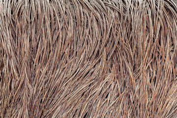 Elaborate straw arrangement as a protection wall.
Stack of twigs creating an autumn background.