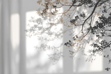shadow overlay effects of realistic window and tree branch shadow with light blur on transparent background, Summer sunlight and shadow overlay effect