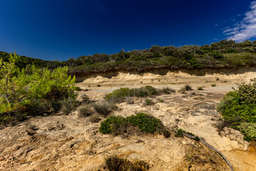 Sand dunes, shifting sands, and wild Mediterranean vegetation on Stracic Beach on the island of Rab,