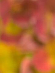 abstract colorful variegated background