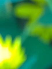 abstract colorful green yellow background