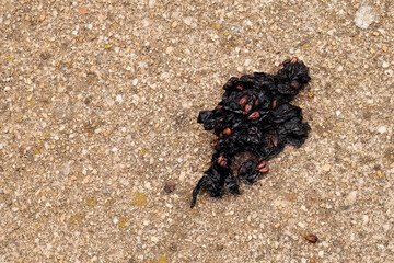 Smashed dark berries with seeds on concrete
