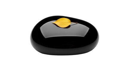 Elegant black, polished object with a single golden leaf, symbolizing remembrance, autumn, or peaceful reflection. Ideal for funeral services, fall marketing, luxury brand design,