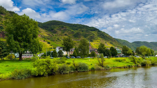 Wine region of the Mosel Valley. Wine tourism Cochem, Rhineland-Palatinate, Germany August 2, 2025 - Powered by Adobe