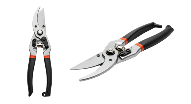 Professional bypass pruning shears with sharp metal blades and black ergonomic handles shown open and closed.