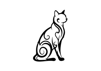 black cat with white background