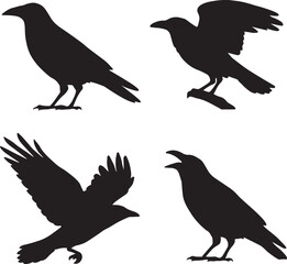 Raven Solid Black Flying Bird Silhouette
