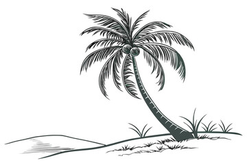 palm tree silhouette