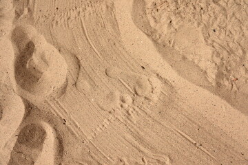 Human footprints on sand at the beach, summer vacation background, walking along coastline.