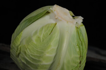 Young head of cabbage on a black background. Macro photo. Close-up. Growing cabbage.