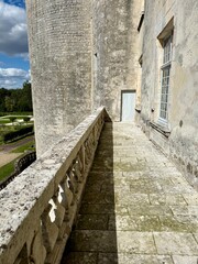 Ch&acirc;teau de la Roche-Courbon