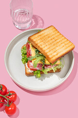 Club sandwich of toast bread with bacon, cheese, tomatoes, lettuce, arugula and sauce in a plate