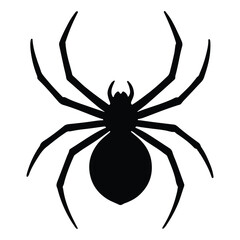 spider on a white background