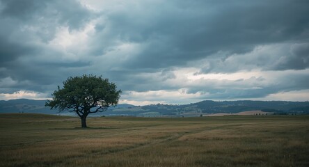 Fototapeta premium An Isolated Tree Under a Cloudy Sky Landscape Featuring Textures and Colors, Nature.