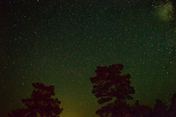 Astrofotograf&iacute;a. Estrellas en la noche, paisaje estelar.