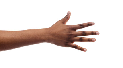 Counting and enumeration concept. Black female hand showing number five with fingers isolated on white background, panorama