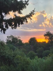 sunset in the forest