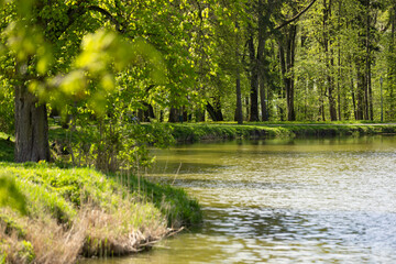 Park wiosenny w Opinogórze Górnej w Polsce ze stawem i drzewami odbijającymi się w wodzie, tapeta lub tło dla Twojego projektu