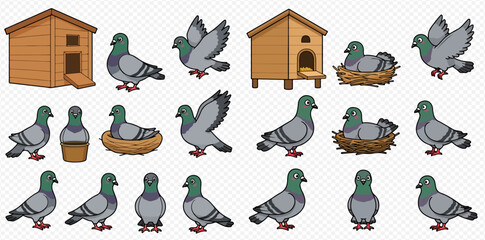 A collection of cartoon pigeons in various poses, including flying, standing, and nesting, alongside wooden dovecotes and nests.