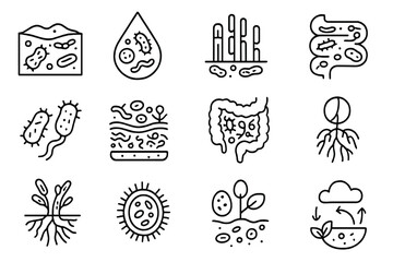 Microbial Ecology Icons. Line style icons of microbial ecology: bacteria in soil, microbes in water droplet, biofilm formation,