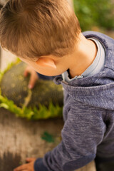 Fototapete bei efototapeten.de bestellen   