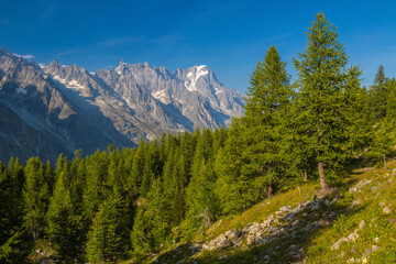 Fototapeta premium From Tour du Mont Blanc - Italy