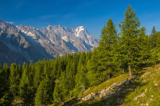 From Tour du Mont Blanc - Italy