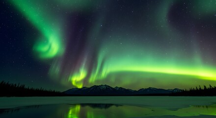 Celestial Symphony: An ethereal dance of the aurora borealis illuminates the night sky, casting its mesmerizing glow across a tranquil, glassy lake and majestic mountains. 