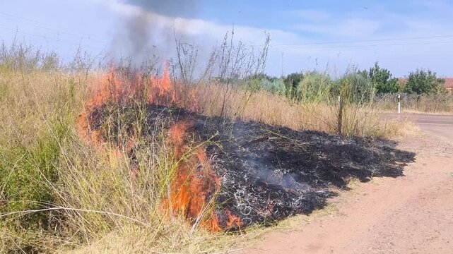 Fuego en cuneta de carretera por cigarrillos colilla