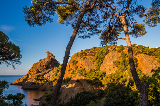 Cove Calanque de Figuerolles, La Ciotat, France