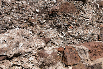 Close-up of tabby concrete wall construction with oyster shells at Fort Sumter National Monument.