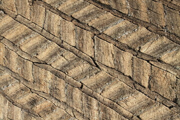 Peat roof in Iceland