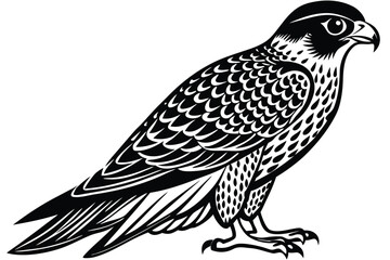falcon vector