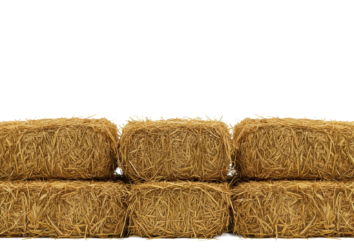 Dense, golden-brown dried straw meticulously textured, forming a soft horizontal border on a pristine, transparent studio background with ample copy space, high-key aesthetic. Concept for organic