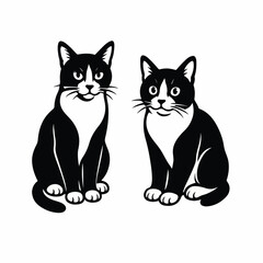 Two Black and White Cats