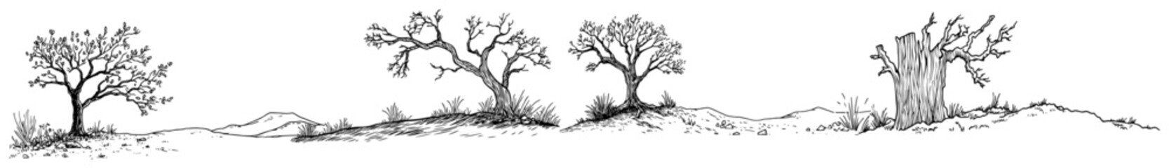 Countryside tree landscape horizontal border sketch