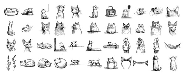 Cat poses faces and accessories doodle sketch collection set