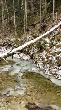 A frosty winter hike to Tomasovsky view, a stunning rock formation offering breathtaking vistas in Slovensky Raj National Park, Slovakia