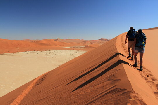 In Deadvlei, Namibia