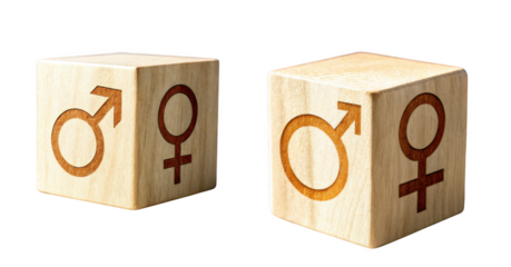 Two wooden blocks with male and female gender symbols, isolated on transparent background